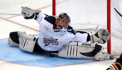 羽生结弦领衔群星闪耀，花样滑冰大奖赛东京站收官